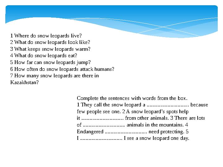 1 Where do snow leopards live? 2 What do snow leopards look like? 3 What keeps snow leopards warm? 4 What do snow leopards ea