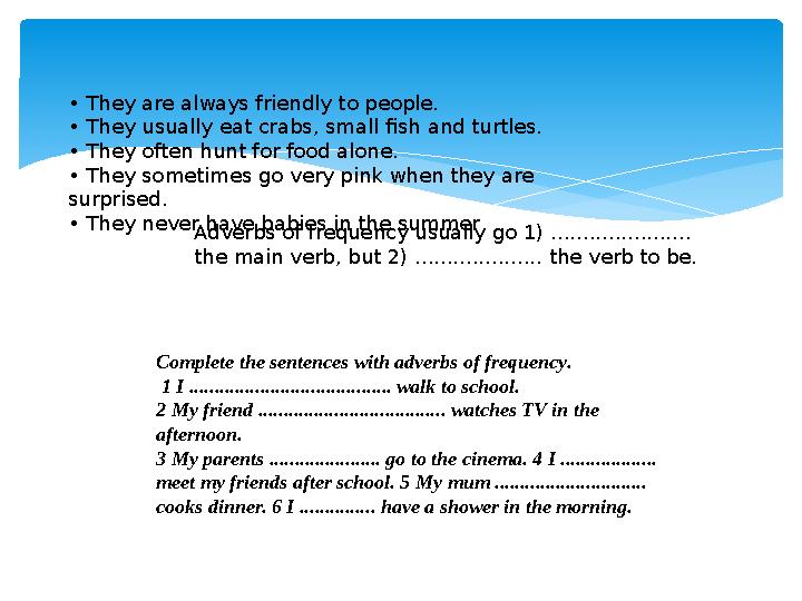 • They are always friendly to people. • They usually eat crabs, small fish and turtles. • They often hunt for food alone.