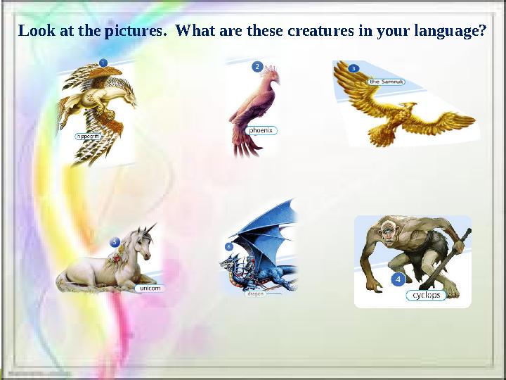 Look at the pictures. What are these creatures in your language?