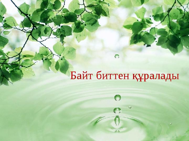 Байт биттен құралады