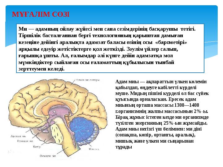 Қазақша жетілген порно