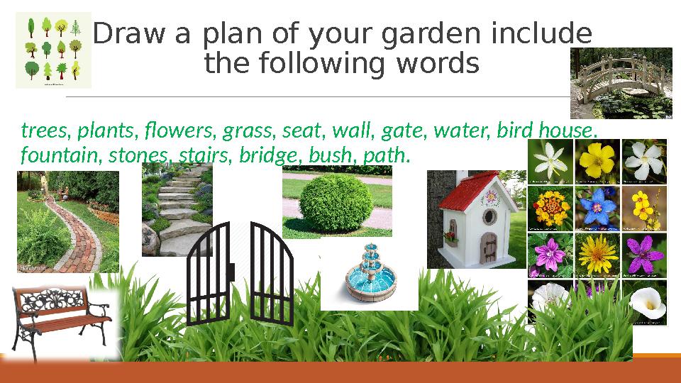 Draw a plan of your garden include the following words trees, plants, flowers, grass, seat, wall, gate, water, bird house, f