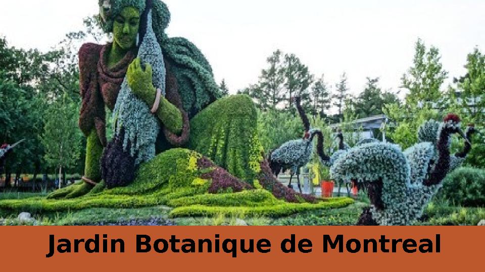 Jardin Botanique de Montreal