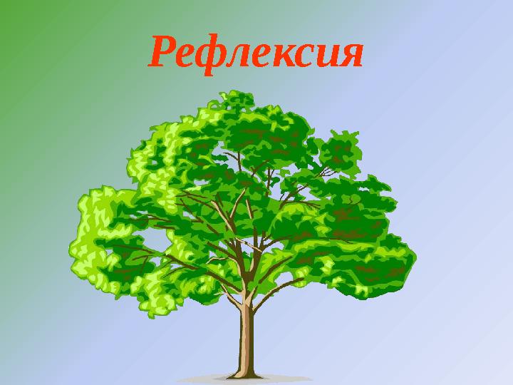 Рефлексия