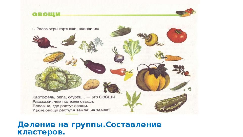 Деление на группы.Составление кластеров.