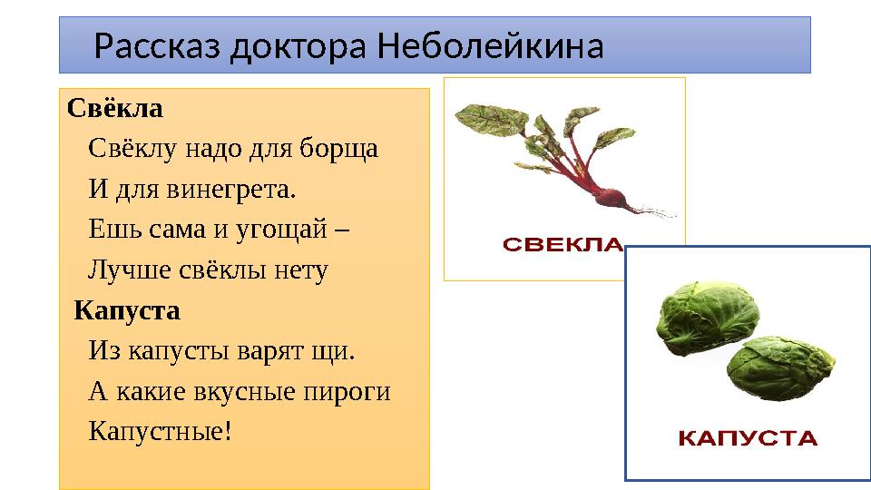 Рассказ доктора Неболейкина Свёкла Свёклу надо для борща И для винегрета. Ешь сама и угощай – Лучше свёклы нету