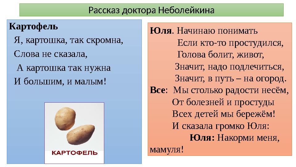 Рассказ доктора Неболейкина Картофель Я, картошка, так скромна, Слова не сказала, А картошка так нужна И большим, и мал