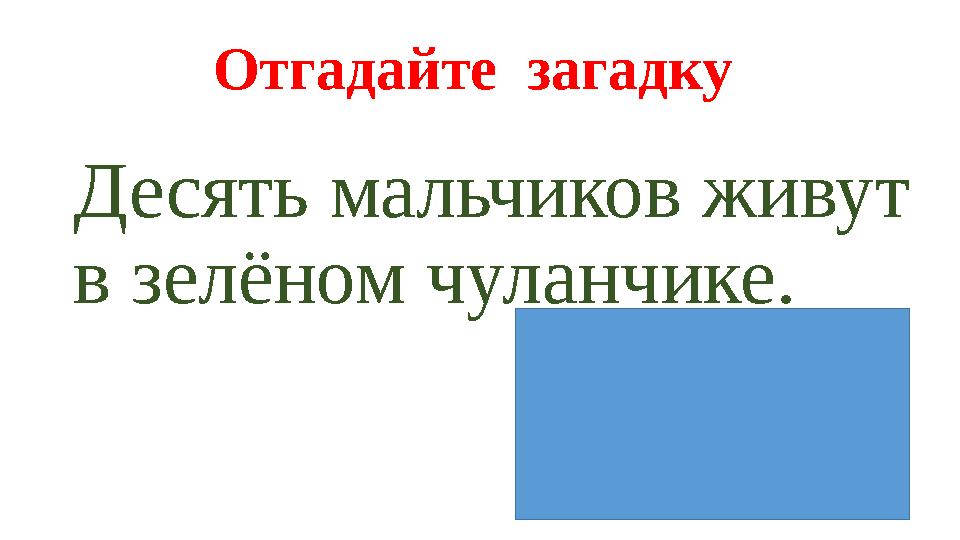 Отгадайте загадку Десять мальчиков живут в зелёном чуланчике.