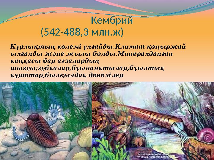 Кембрий (542-488,3 млн.ж) Құрлықтың көлемі ұлғайды.Климат қоңыржа