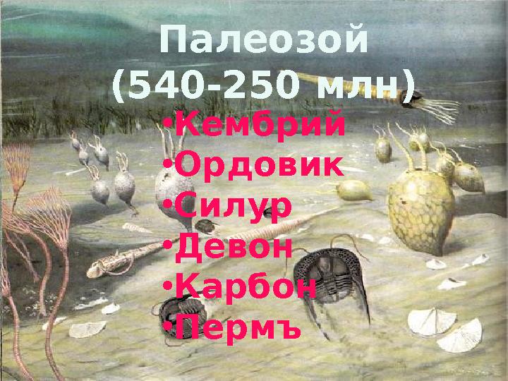 Палеозой (540-250 млн) • Кембрий • Ордовик • Силур • Девон • Карбон • Пермъ