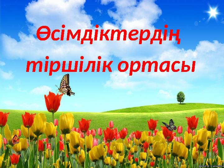 Өсімдіктердің тіршілік ортасы