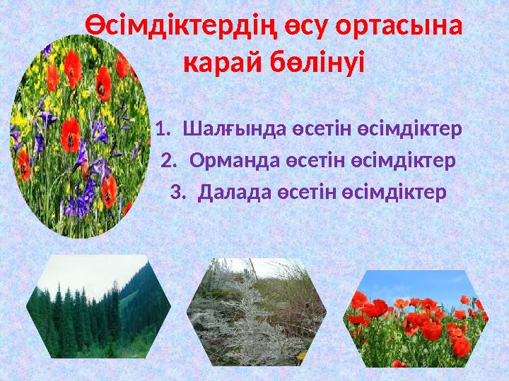 Өсімдіктердің өсу ортасына карай бөлінуі 1. Шалғында өсетін өсімдіктер 2. Орманда өсетін өсімдіктер 3. Далада өсетін өсімдіктер