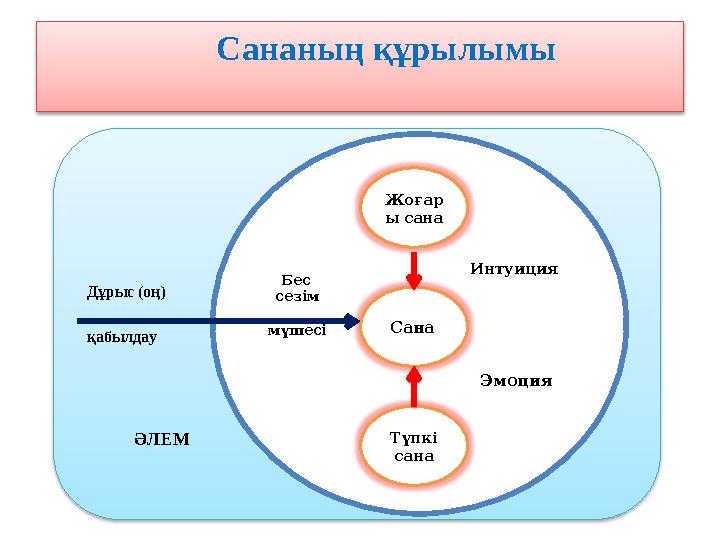 Сананың құрылымы Жоғар ы сана Сана Түпкі сана Бес сезім мүшесі Интуиция Эмоция ӘЛЕМДұрыс (оң) қабылдау