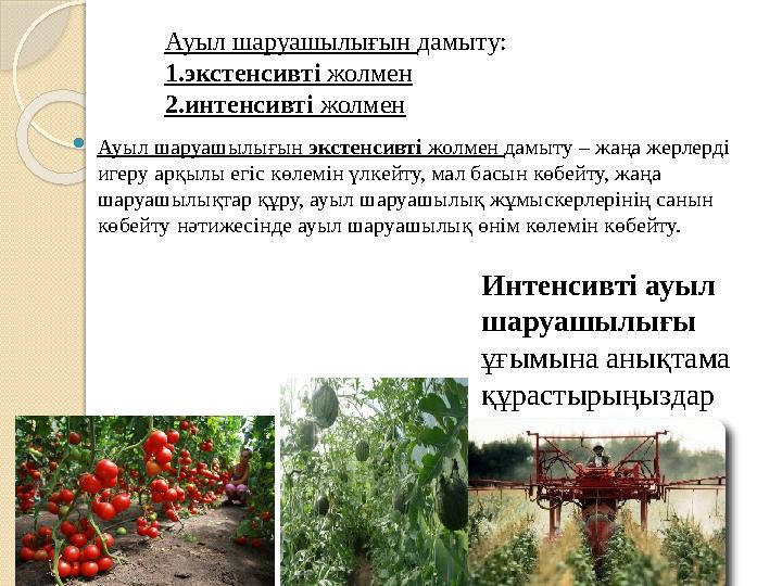  Ауыл шаруашылығын экстенсивті жолмен дамыту – жаңа жерлерді игеру арқылы егіс көлемін үлкейту, мал басын көбейту, жаңа ша