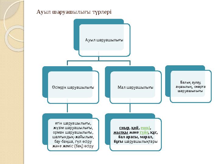 Ауыл шаруашылығы түрлері Ауыл шаруашылығы Өсімдік шаруашылығы егін шаруашылығы, жүзім шаруашылығы, орман шаруашылығы, шалғын