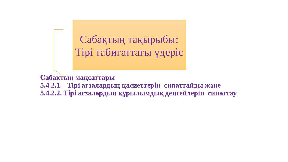 Порно анальный поцелу