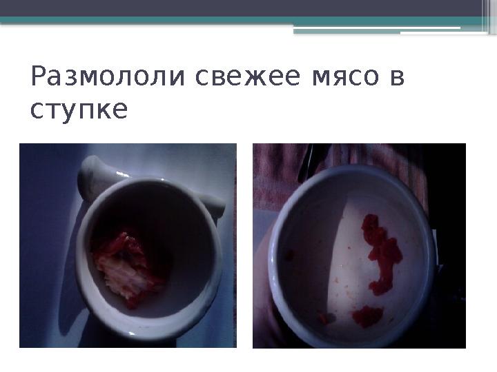 Размололи свежее мясо в ступке