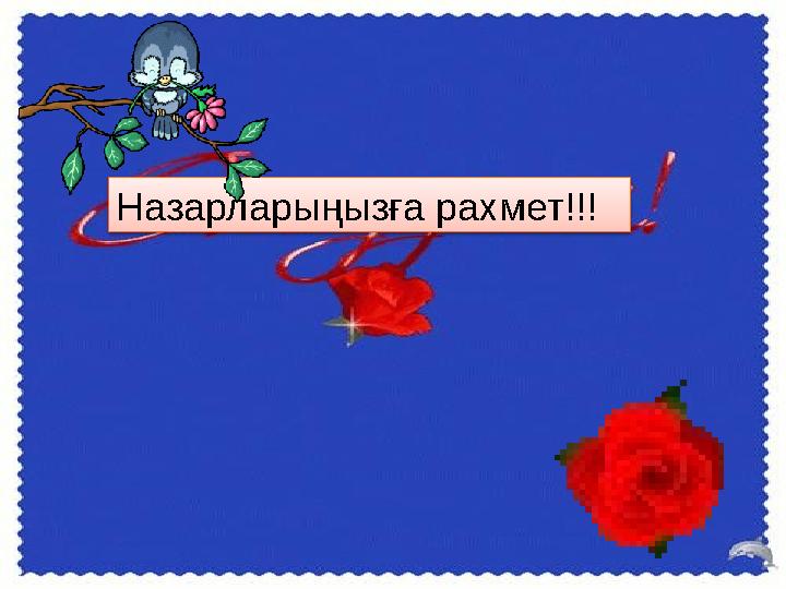 Назарларыңызға рахмет!!!