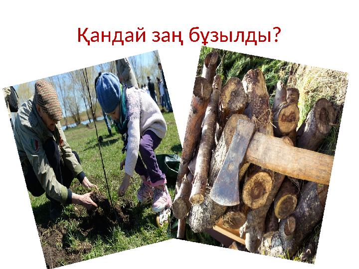 Қандай заң бұзылды?