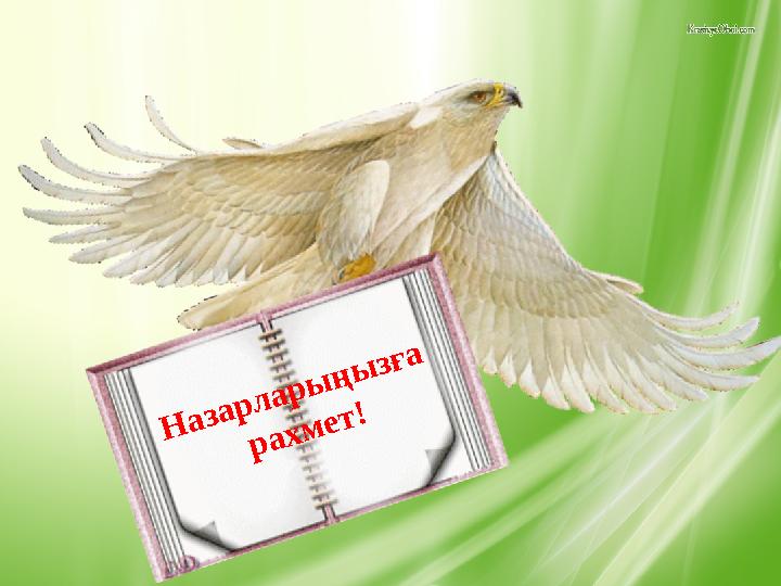 Назарларыңызға рахмет!