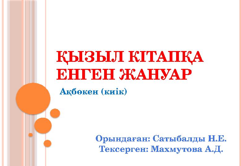 Алланың жатақхана бөлмесінде порно ағып кетті