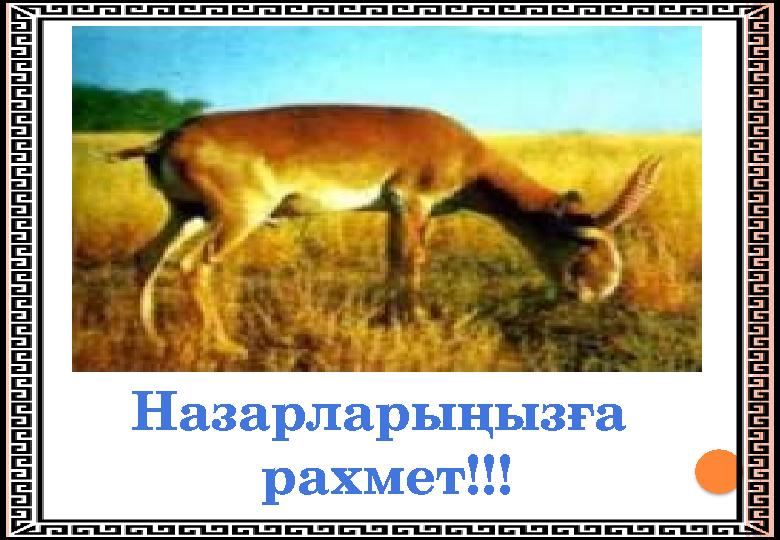 Назарларыңызға рахмет!!!