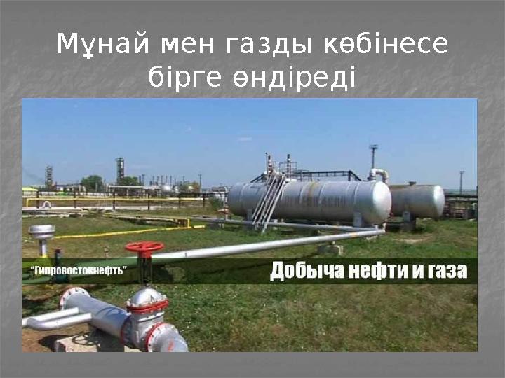 Мұнай мен газды көбінесе бірге өндіреді