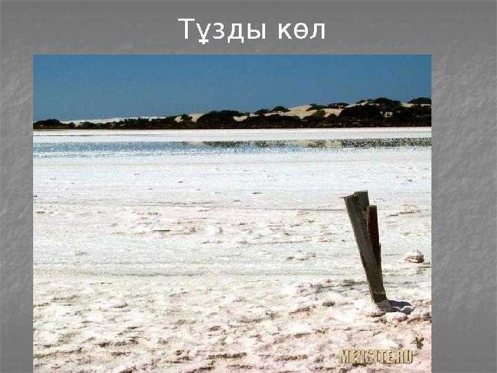 Тұзды көл