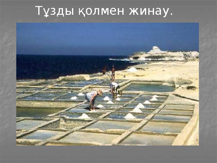 Тұзды қолмен жинау.