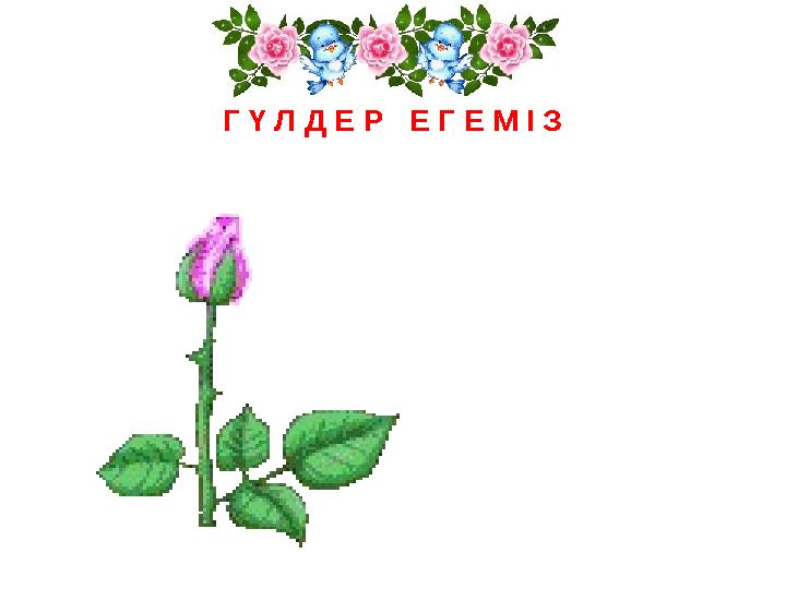 Г Ү Л Д Е Р Е Г Е М І З Г Ү Л Д Е Р Е Г Е М І З