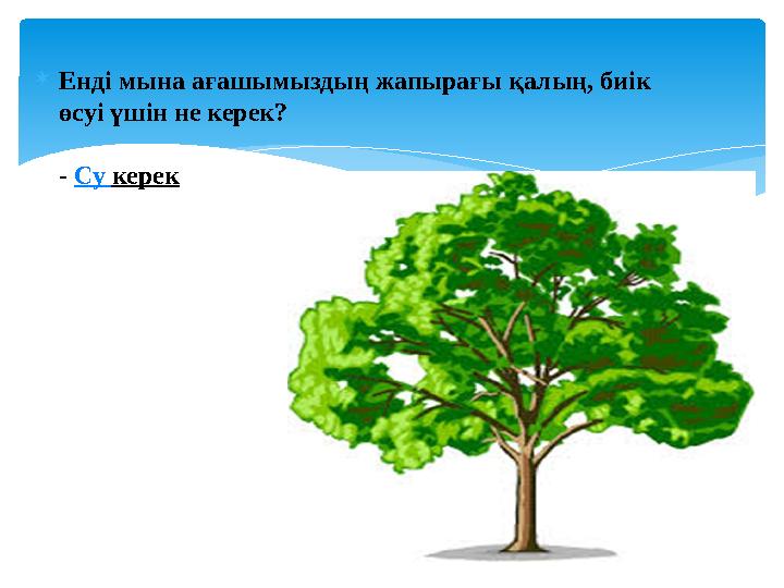 Енді мына ағашымыздың жапырағы қалың, биік өсуі үшін не керек? - Су керек