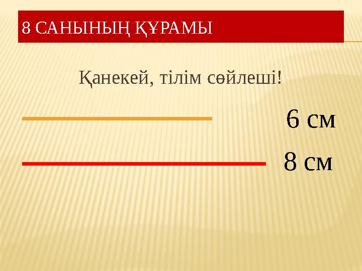 8 САНЫНЫ Ң ҚҰРАМЫ Қанекей, тілім сөйлеші! 6 см 8 см