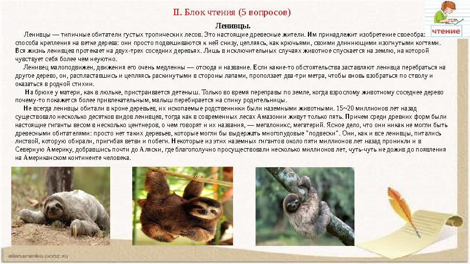 II. Блок чтения (5 вопросов) Ленивцы. Ленивцы — типичные обитатели густых тропических лесов. Это настоящие д