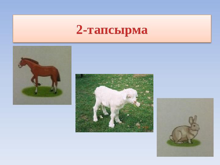 2-тапсырма