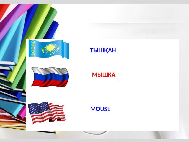 ТЫШҚАН МЫШКА MOUSE