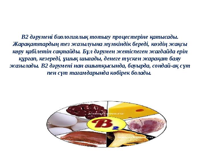 В2 дәрумені биологиялық тотығу процестеріне қатысады. Жарақаттардың тез жазылуына мүмкіндік береді, көздің жақсы көру қабілеті