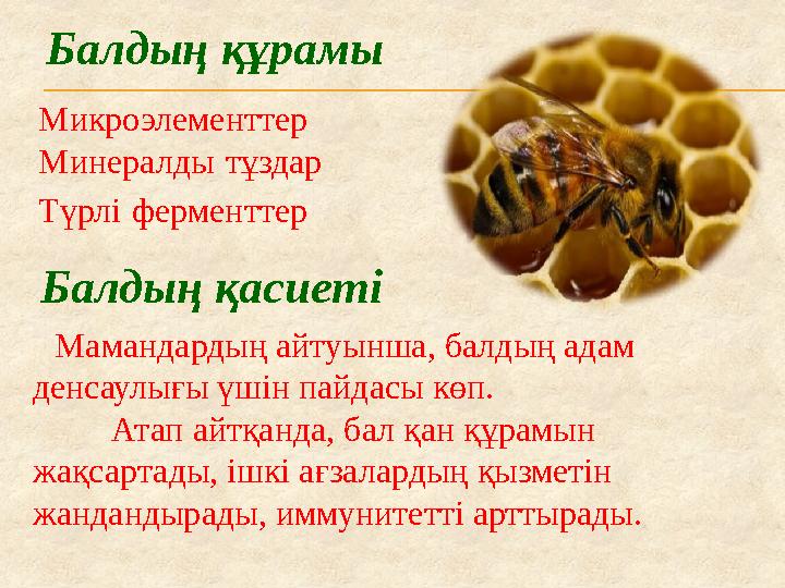 Балдың құрамы Балдың қасиеті Мамандардың айтуынша, балдың адам денсаулығы үшін пайдасы көп. Атап айтқанда, бал қан құ