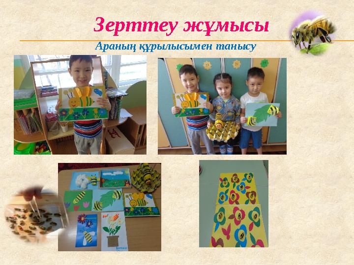 Зерттеу жұмысы Араның құрылысымен танысу