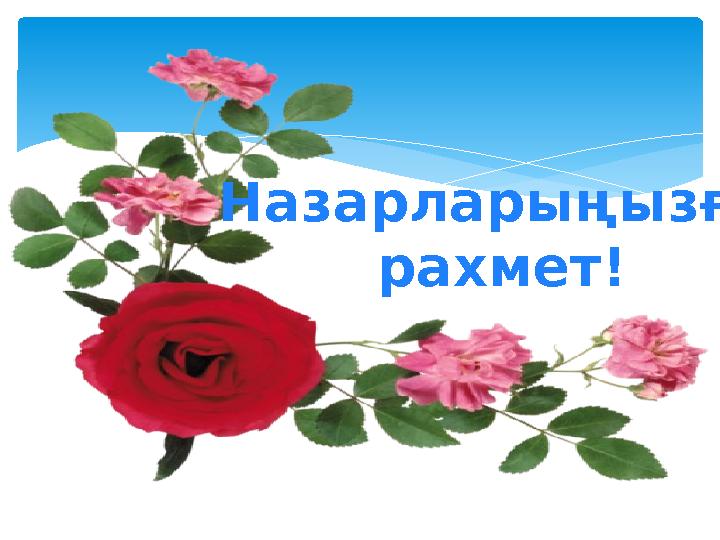 Назарларыңызға рахмет!