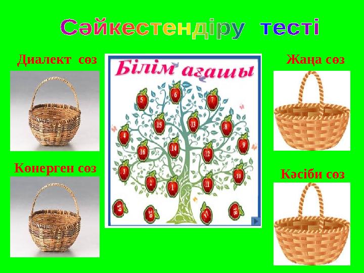 Диалект сөз Көнерген сөз Жаңа сөз Кәсіби сөз
