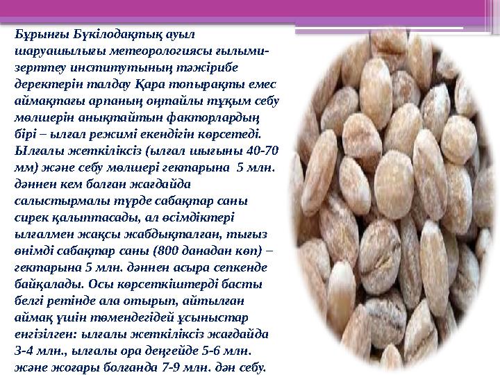 Бұрынғы Бүкілодақтық ауыл шаруашылығы метеорологиясы ғылыми- зерттеу институтының тәжірибе деректерін талд