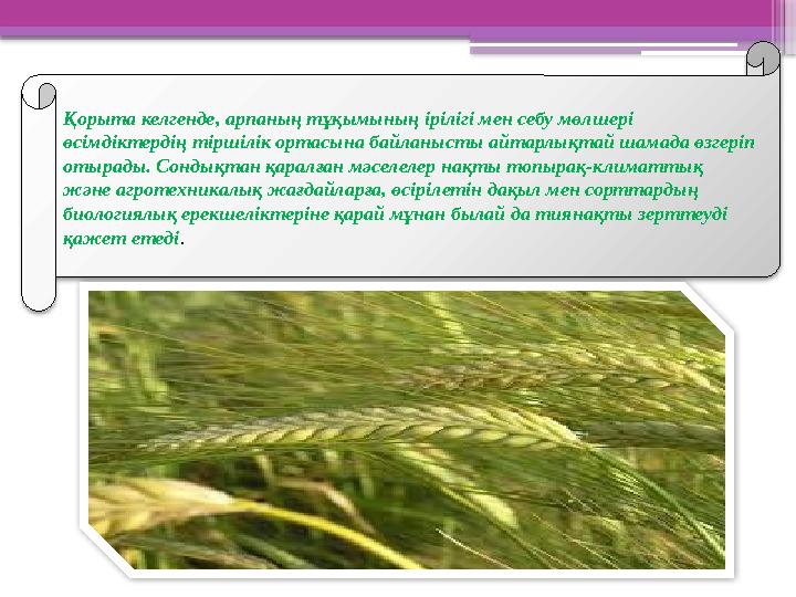 Қорыта келгенде, арпаның тұқымының ірілігі мен себу мөлшері өсімдіктердің тіршілік ортасына байланысты айт