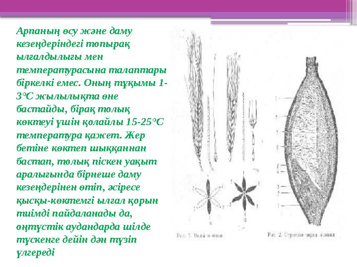 Сіз өзіңізге куннилингус бере аласыз ба? Орыс порнографиясын қараңыз