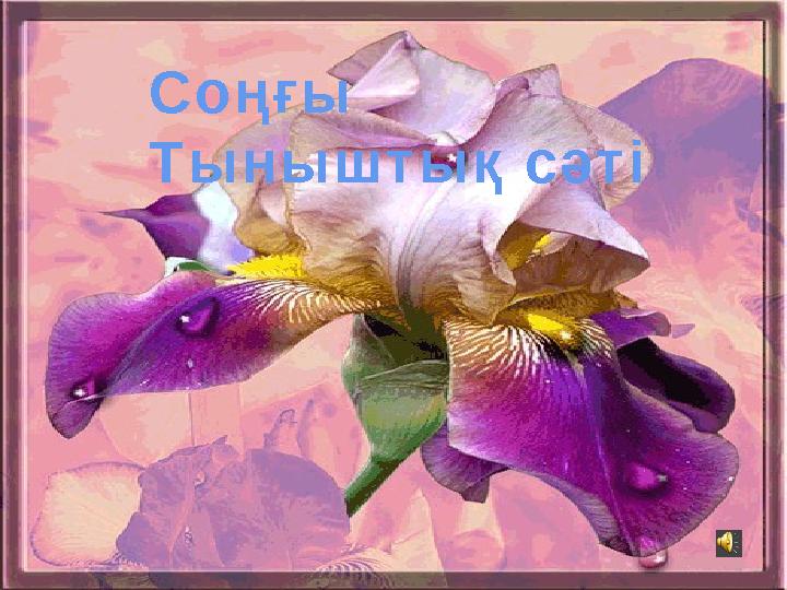 Соңғы Тыныштық сәті