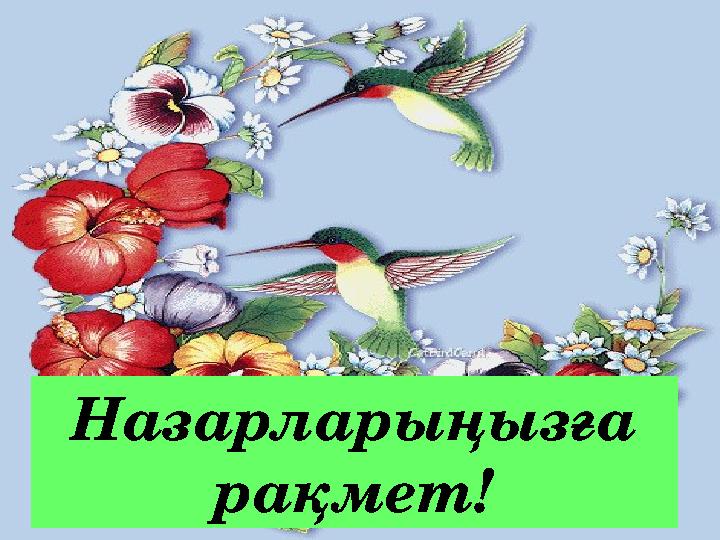 Назарларыңызға рақмет!