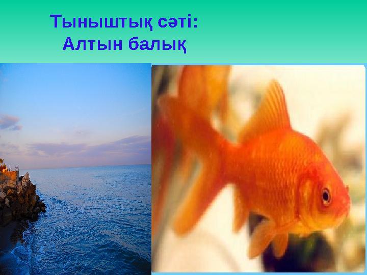 Тыныштық сәті: Алтын балық