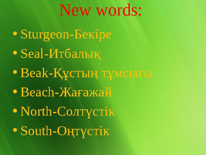 New words: •Sturgeon-Бекіре •Seal-Итбалық •Beak-Құстың тұмсығы •Beach-Жағажай •North-Солтүстік •South-Оңтүстік
