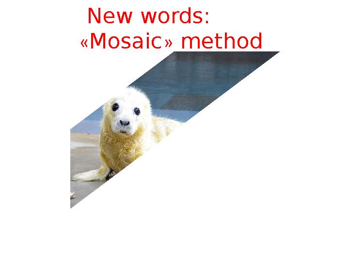 New words: «Mosaic» method