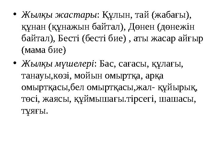 •Жылқы жастары: Құлын, тай (жабағы), құнан (құнажын байтал), Дөнен (дөнежін байтал), Бесті (бесті бие) , аты жасар айғыр (мам