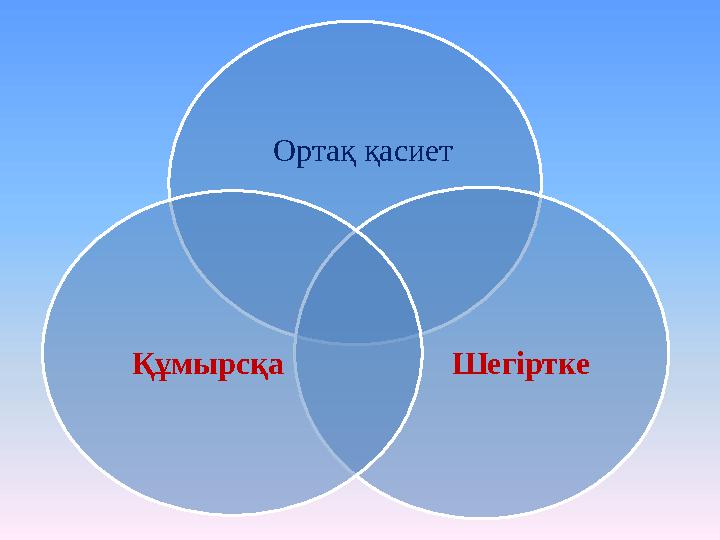 Ортақ қасиет Шегіртке Құмырсқа